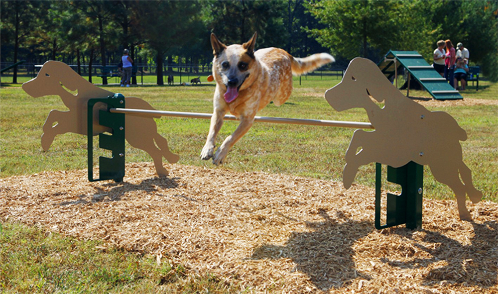 Dog Hurdle for Dog Parks 